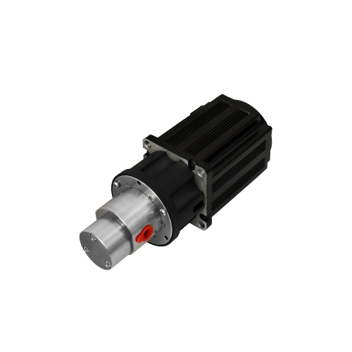 Anticorrosion SS magnetic Drive Gear Metering Pump